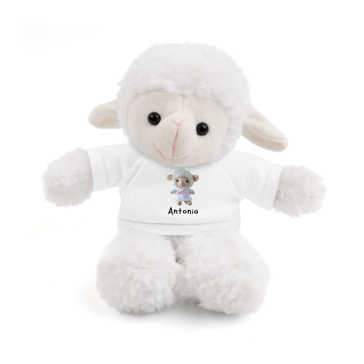 Personalized Plushie in a T-Shirt